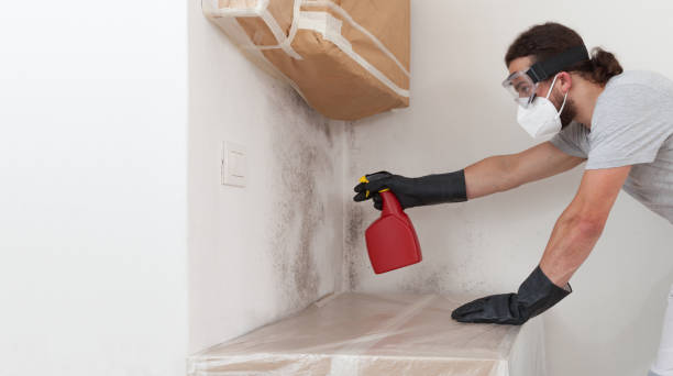 Professional Mold Remediation technician working in Columbus, TX